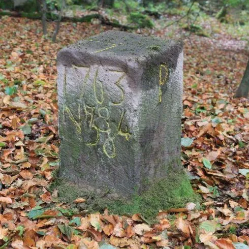 Ein alter Grenzstein in einem Wald mit buntem Laub. Die Inschrift zeigt die Jahreszahlen 1763 und 1894.