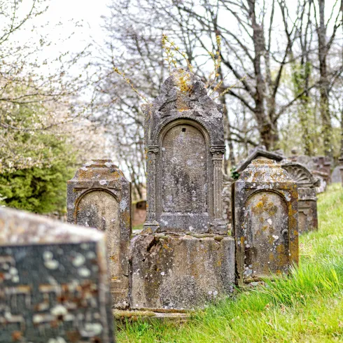 Eine ruhige Friedhofsszene mit alten Grabsteinen in einer grünen Wiese. Im Hintergrund sind blühende Bäume sichtbar.