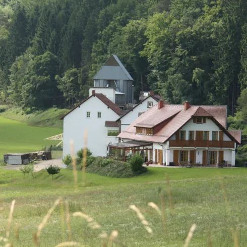 Eine malerische Landschaft mit zwei Häusern umgeben von grünen Wiesen und Bäumen. Im Hintergrund sind hohe Wälder zu sehen.