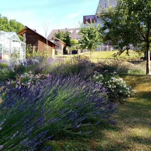 Garten Garten