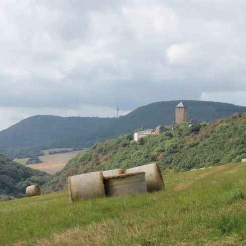 Eine malerische Landschaft mit sanften Hügeln und einer alten Ruine auf einem Hügel. Im Vordergrund liegen Rundballen auf einer grünen Wiese.