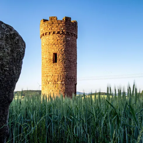 Ein alter Turm aus roten Steinen steht in einem grünen Feld. Im Hintergrund ist ein klarer Himmel zu sehen.