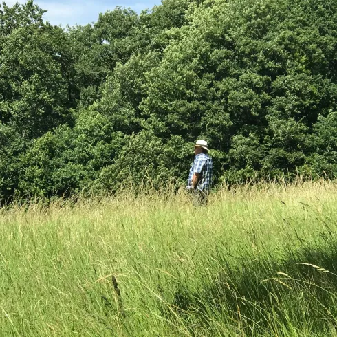 Wandern