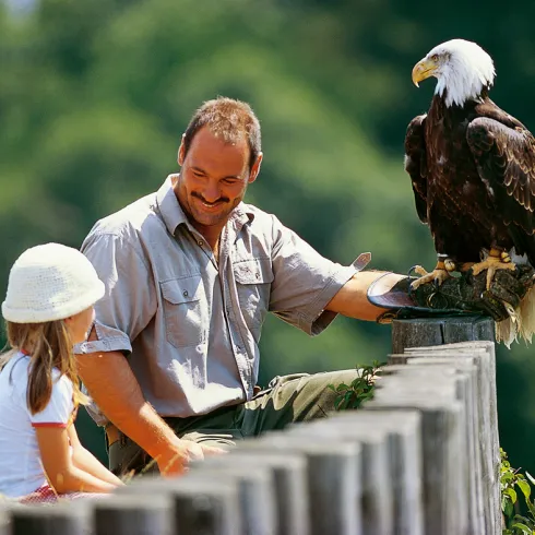 Wildpark