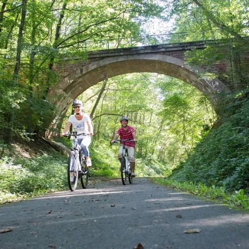 Pfälzer Land Radweg