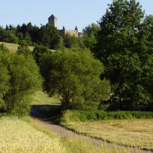 Burg Lichtenberg