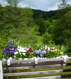 15,3 km Rothselberg Rundwanderweg