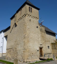 Veldenzschloss Lauterecken