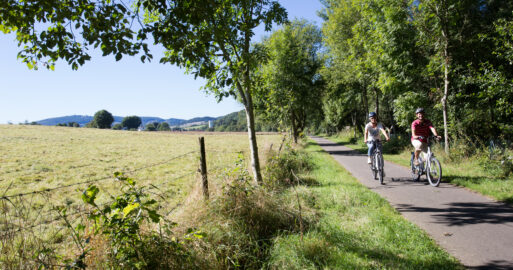 Pfälzer Land Radweg