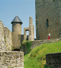 Wohnmobilstellplatz Burg Lichtenberg