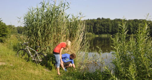 Pfälzer Moortour