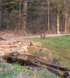 10,3 km Himmelstour Rundwanderweg