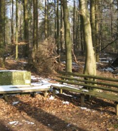 10,7 km Wallonen Rundwanderweg