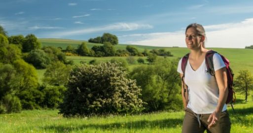 Tageswanderungen